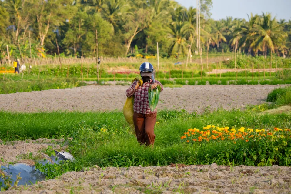Kho phân bón và hạt giống